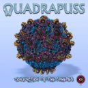 Quadrapuss - Kikamora (Bear Remix)