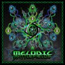 Walhalla Project & HosmoZonik - Extreme Connection