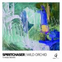 Spiritchaser, Angie Brown - Wild Orchid