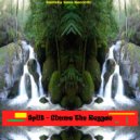 Split - Tropical Morning