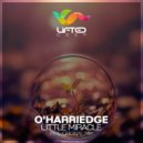 O\'harriedge - Little Miracle (Radio Edit)