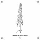 The Missing Link - Hope (Interlude)