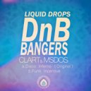 Dj Clart & mSdoS - Funk Incentive (Original Mix)
