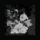 Sanctums - Sentinel (Original Mix)