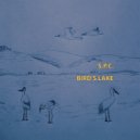 S.P.C. - Bird\'s Lake (Original Mix)
