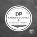 Deephonix Crew - No Limits