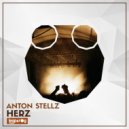 Anton Stellz - Solver