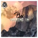 Pux - On The Bass
