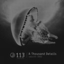 A Thousand Details - Uron