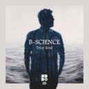 B-Science - Triangles