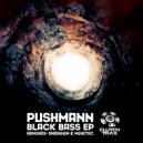 PUSHMANN - Cracked