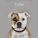 Temporary Hero - That's All For Everyone