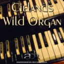 Cielands - Wild Organ (Original Mix)
