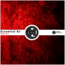 Luca S - The Revolution