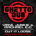 Vinyl Junkie & Rachael E.C - Cut It Loose (Sanxion Remix)