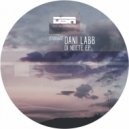 Dani Labb - Demagine