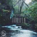 Amore - Thirteen (Original Mix)