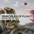 Principles Of Flight - Blast (Original Mix)