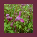 Cassini Division - Proxy Feelings