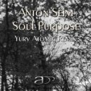 Anton Seim - Soul Purpose (Yury Atomic Remix)
