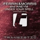 Ferrin & Morris, Aneym - Under Your Spell (Josh Ferrin Dub)