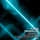 Pushee - Diamond Life (Original Mix)