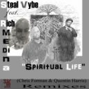 Steal Vybe feat. Rich Medina - Spiritual Life (Original Mix)