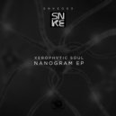 Xerophytic Soul - The Secret World