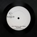 Paolo Arduini, Lara Ferrari - Solarietà (Original Mix)