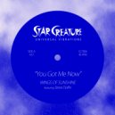 Wings of Sunshine feat. Steve Dolfin - You Got Me Now