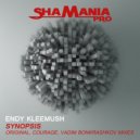 Endy Kleemush - Synopsis