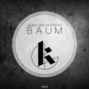 Rokkas, Adam Lisau - Baum (Rokkas Remix)