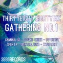 Spirtualzune - Micron Particles