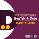 Simztek & Dubz - Trouble