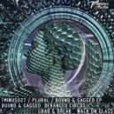 Plural - Deranged Circus