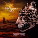 Elegant Ape, Linde Sagen - What We Believe (Original Mix)