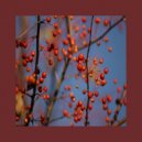 Buben - Acoustic Plaster