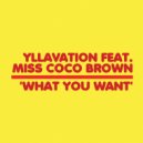 Yllavation Featuring Miss Coco Brown - What You Want