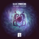 Basic Forces - The Answer