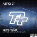 Aero 21 - Spring Flower (NatLife Waiting For The Spring Mix)