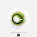 Martin Frost - Vision Quest (Original Mix)