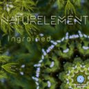 Naturelement - Earthly
