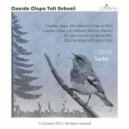 Sacke - Coarda, Clapa, Toti Nebunii (Nicvius Remix)