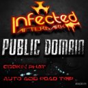 Public Domain - Cookin Phat (Original Mix)