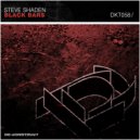Steve Shaden - Last Chance