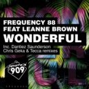 Frequency 88 feat. Leanne Brown - Wonderful (Chris Geka & Tecca Remix)