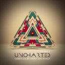 DigiCult vs DNA - Rite Of Passage (Space Tribe Remix)