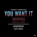 Stevens ft. Sheree Hicks - You Want It (Andree Remix)