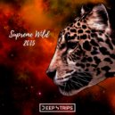 Schnor, Vokker - Make It Drop (Original Mix)