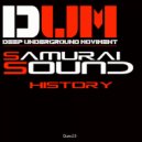 Samurai Sound - Orbit (Original Mix)